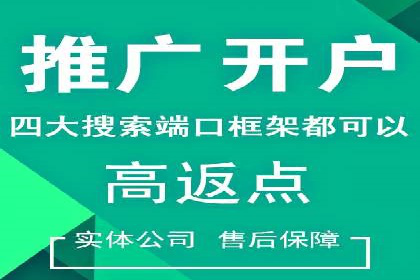 成功sem公司的策略与执行